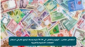 انخفاض مفاجئ.. اليورو ينخفض إلى 56.34 جنيه وسط تراجع عام في أسعار العملات الأجنبية والعربية
